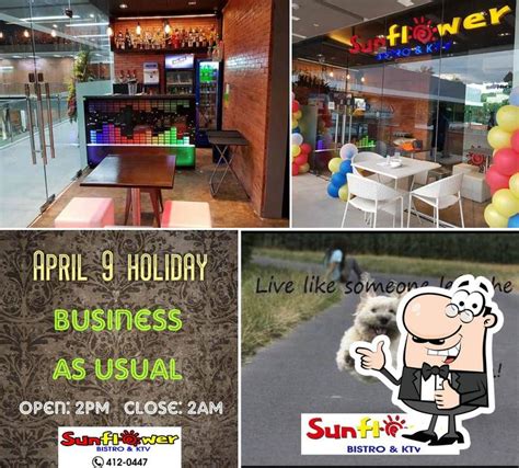 Sunflower Bistro & KTV .